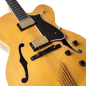 HOLLOW ELECTRIC GUITAR